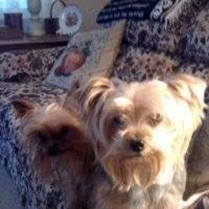 Meet your Posher, Roberta